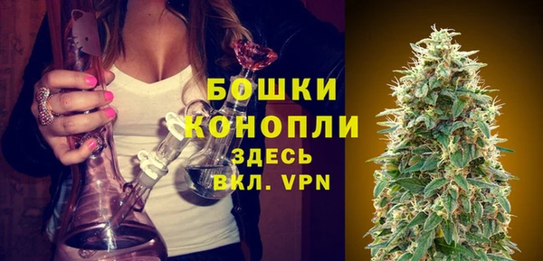 эйфоретик Бородино