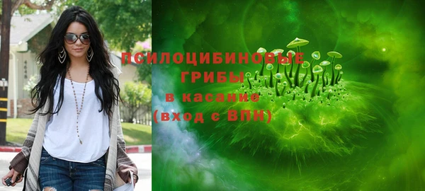 первитин Богородск